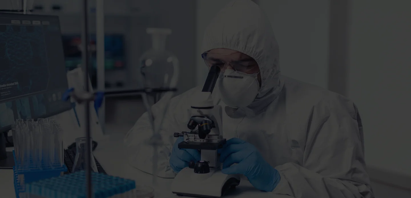 banner-image-2